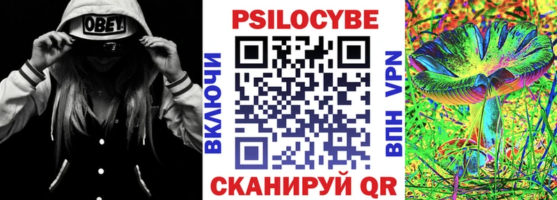 Псилоцибиновые грибы Psilocybine cubensis  Купить закладки  Котлас 